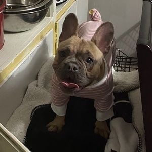 Meet your Posher, Rogelio